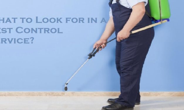 What to Look for in a Pest Control Service?