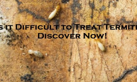 Is it Difficult to Treat Termites? Discover Now!