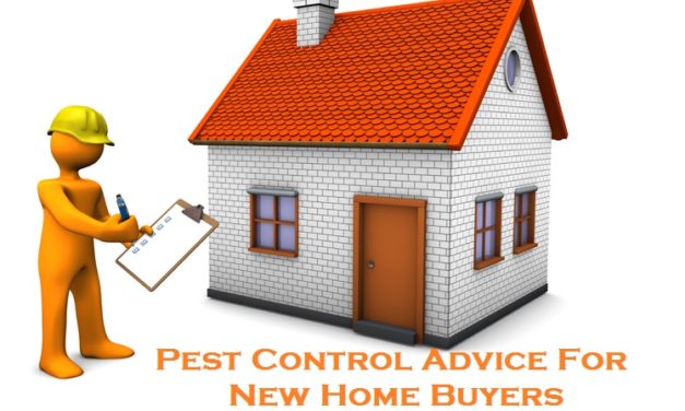 Pest Control Advice For New Home Buyers