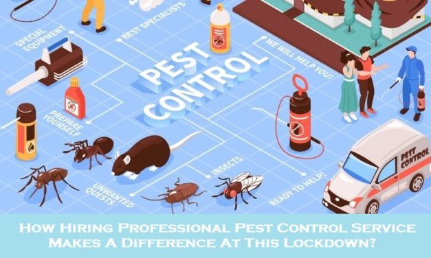 How Hiring Professional Pest Control Service Makes A Difference At This Lockdown?