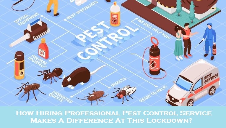 How Hiring Professional Pest Control Service Makes A Difference At This Lockdown?