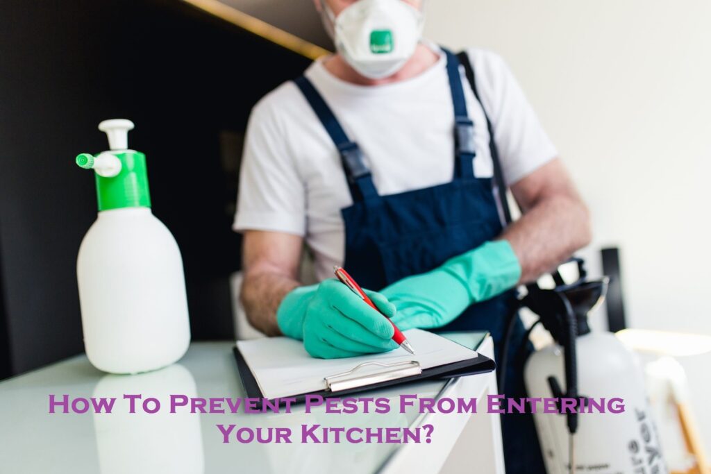 How To Prevent Pests From Entering Your Kitchen?
