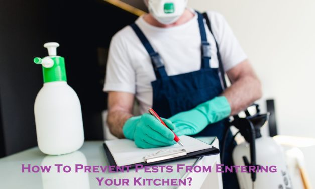 How To Prevent Pests From Entering Your Kitchen?