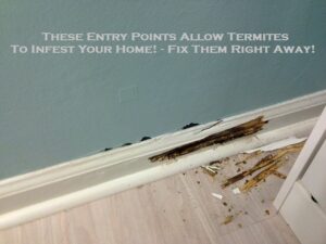 These Entry Points Allow Termites To Infest Your Home! - Fix Them Right Away!