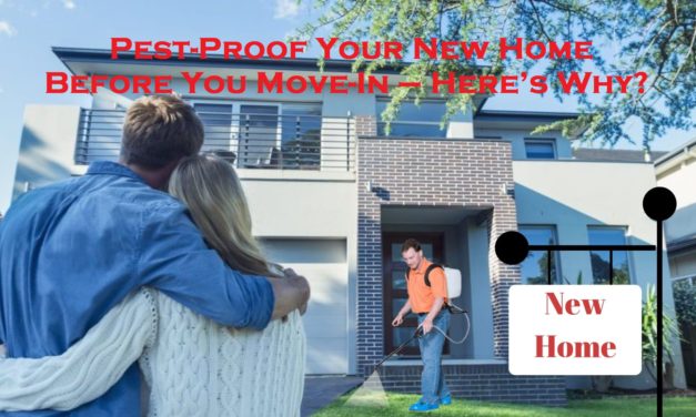 Pest-Proof Your New Home Before You Move-In – Here’s Why?