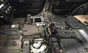 rodent control Melbourne