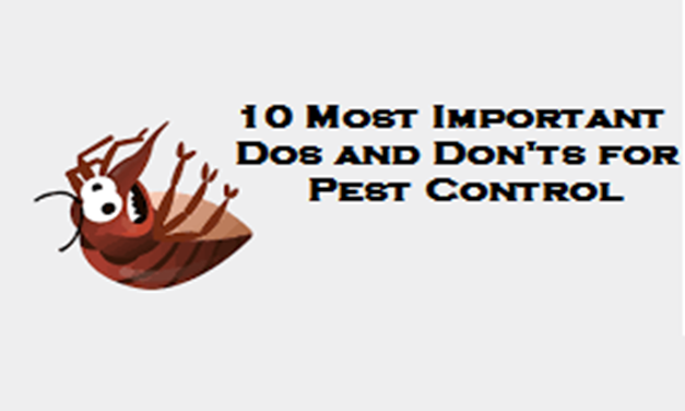 pest control Melbourne