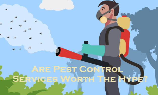 Are Pest Control Services Worth The Hype?