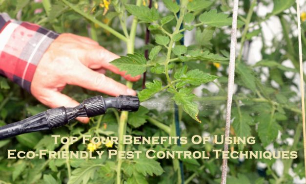 Top Four Benefits Of Using Eco-Friendly Pest Control Techniques