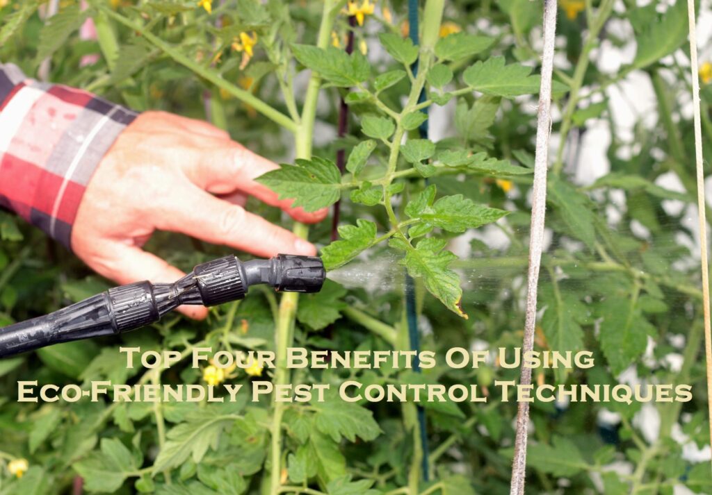 Top Four Benefits Of Using Eco-Friendly Pest Control Techniques