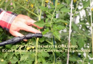 Top Four Benefits Of Using Eco-Friendly Pest Control Techniques
