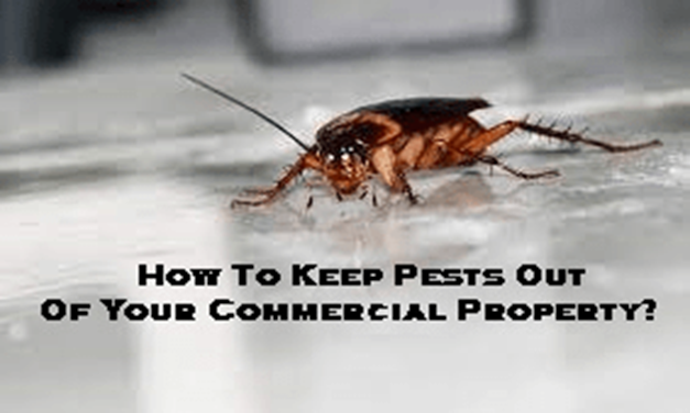 pest control Melbourne