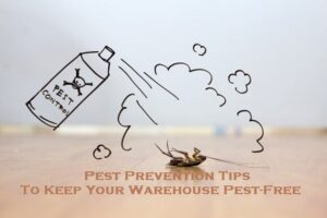 Pest Prevention Tips To Keep Your Warehouse Pest-Free