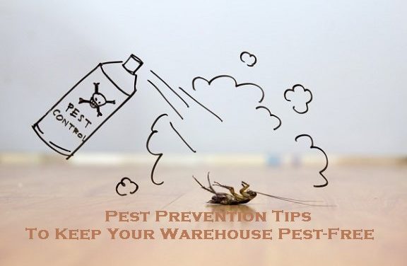 Pest Prevention Tips To Keep Your Warehouse Pest-Free