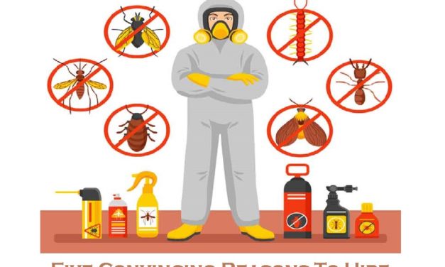 Five Convincing Reasons To Hire A Professional Pest Control Company