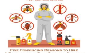 pest control Melbourne