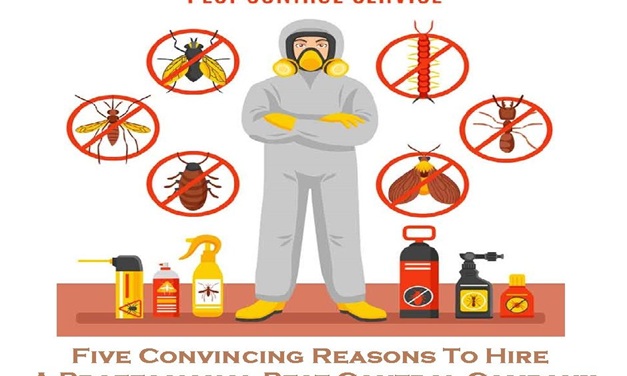 pest control Melbourne