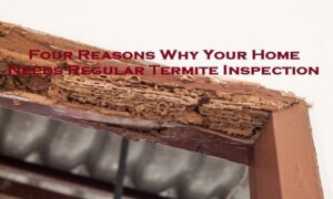 termite control Melbourne