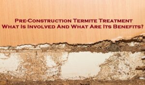 termite treatment melbourne