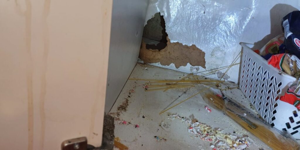 pest control Melbourne