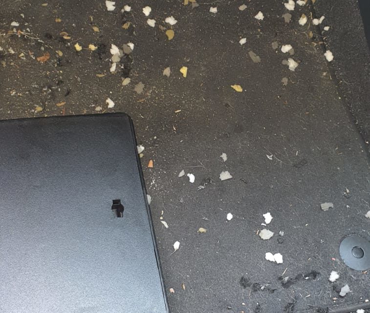 pest control Melbourne