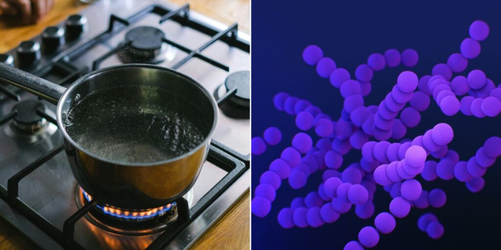 pest control Melbourne