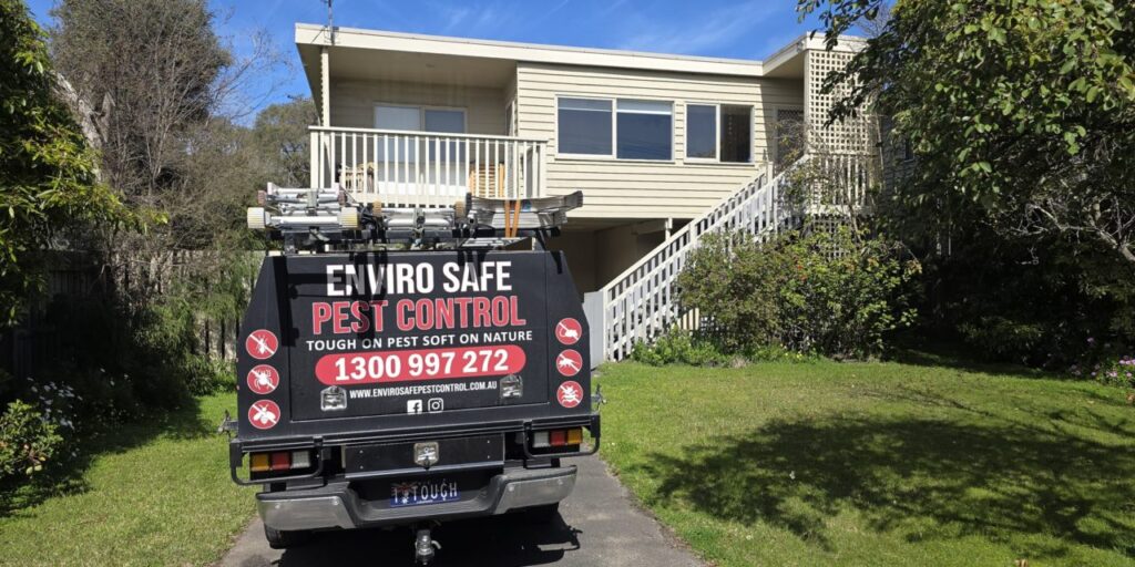 pest control Melbourne