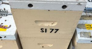 pest control Melbourne