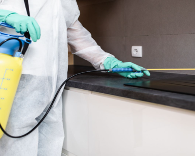 end of lease pest control Melbourne