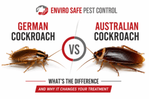 Cockroach Control Melbourne