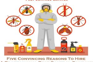 pest control Melbourne