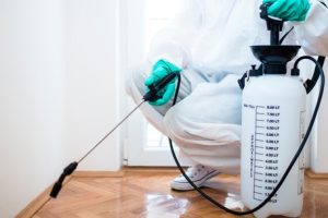 Pest Control Blackburn South