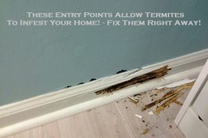 These Entry Points Allow Termites To Infest Your Home! - Fix Them Right Away!