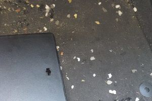 pest control Melbourne