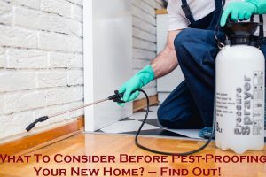 pest control Melbourne
