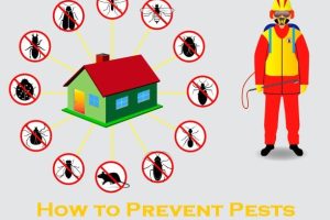 pest inspection melbourne
