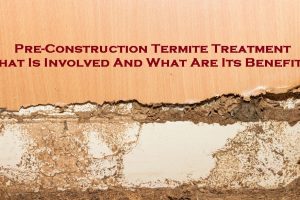 termite treatment melbourne