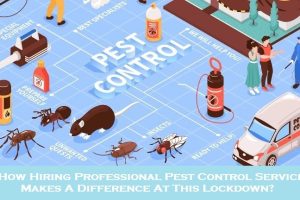 How Hiring Professional Pest Control Service Makes A Difference At This Lockdown?