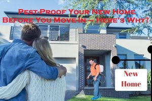 Pest-Proof Your New Home Before You Move-In – Here’s Why?