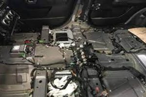 rodent control Melbourne