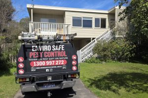 pest control Melbourne