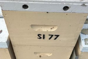 pest control Melbourne