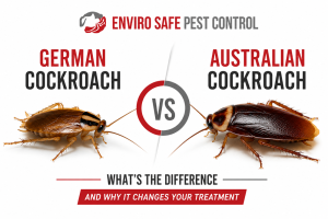 Cockroach Control Melbourne